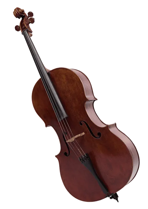 A imagem mostra um violoncelo de madeira escura.